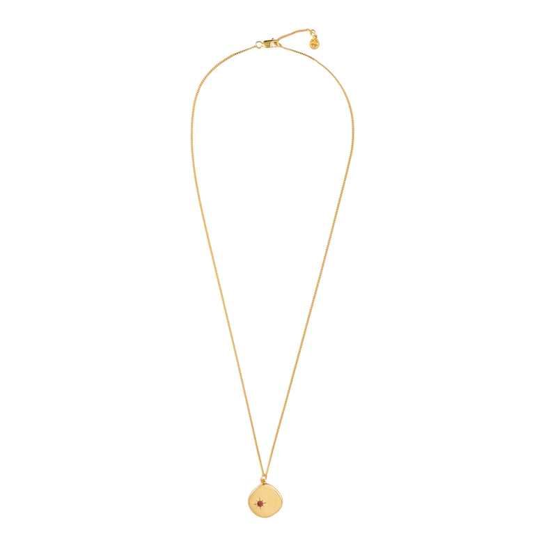 January Birthstone Necklace - 18 karat gold vermeil on sterling silver, garnet